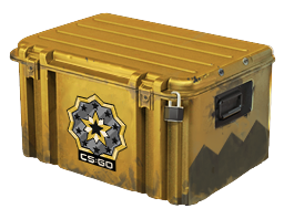 Standard CS case